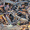 Bark Mulch & Landscaping
