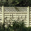 Trellis