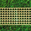 Trellis